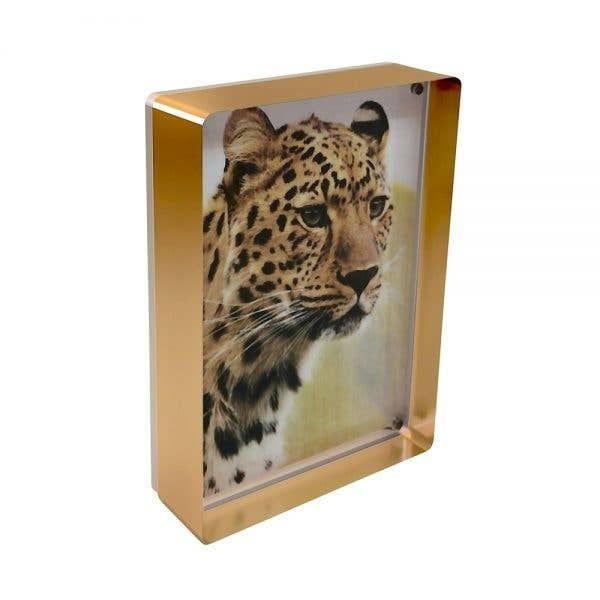 Canetti Prestige Magnet Frame Copper 5&quot;x7&quot;