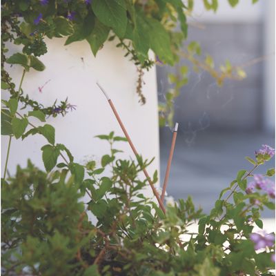 Gentlemen&#39;s Hardware Garden Incense and Holder
