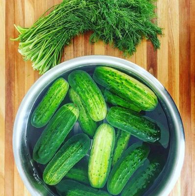 Pickle Making Kit