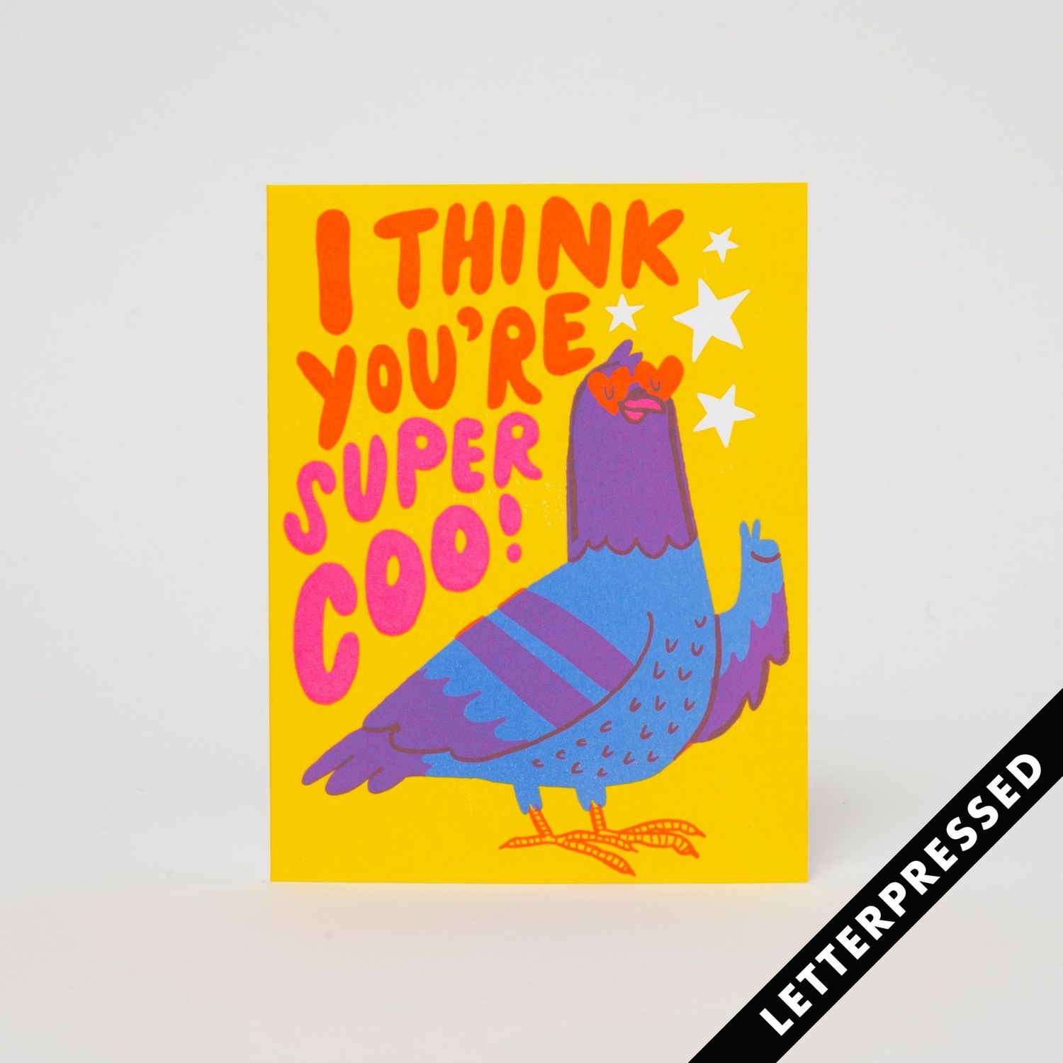 Super Coo Pigeon