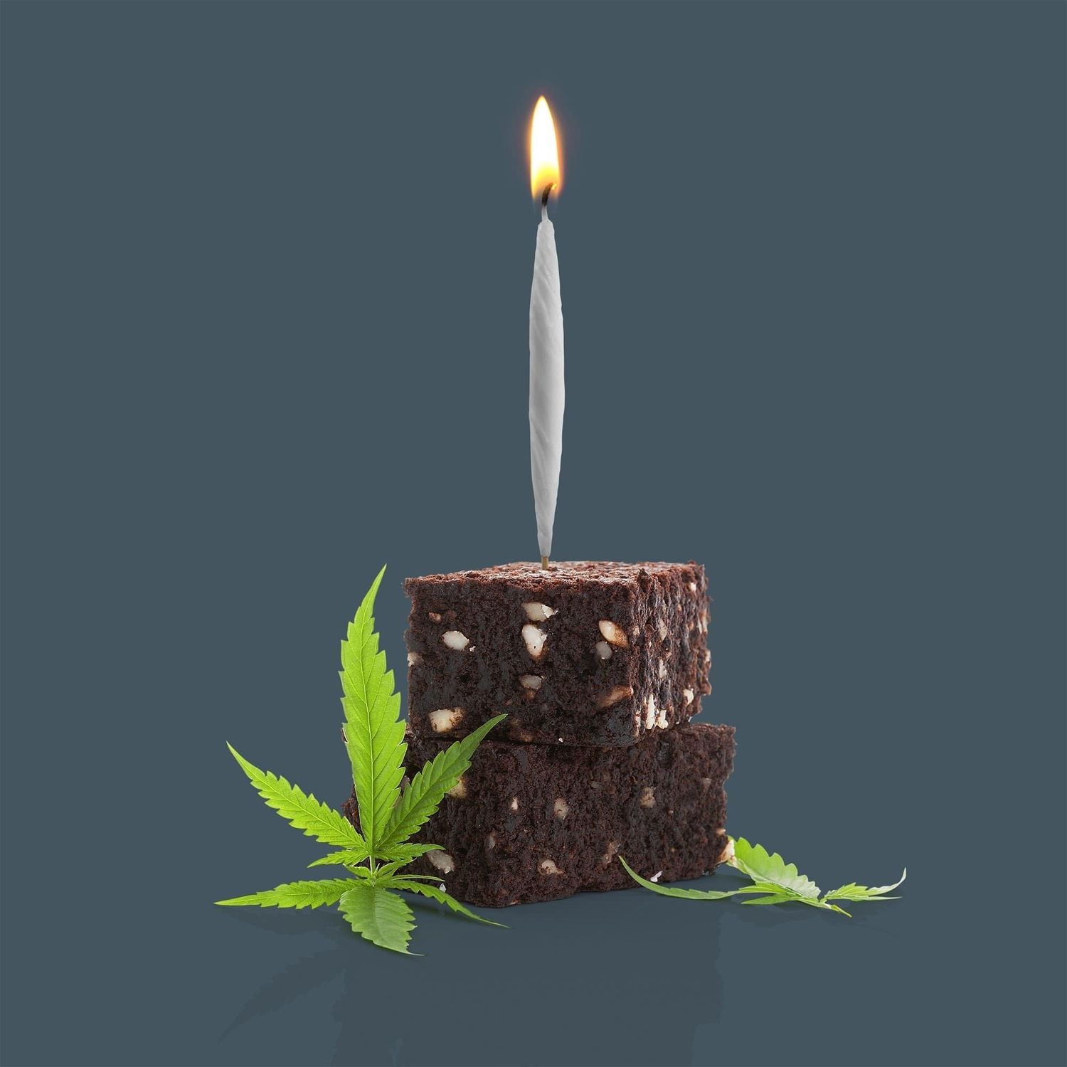 Fred Lit! Birthday Candles