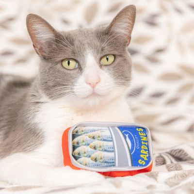 Huxley &amp; Kent Sardine Tin For Cats