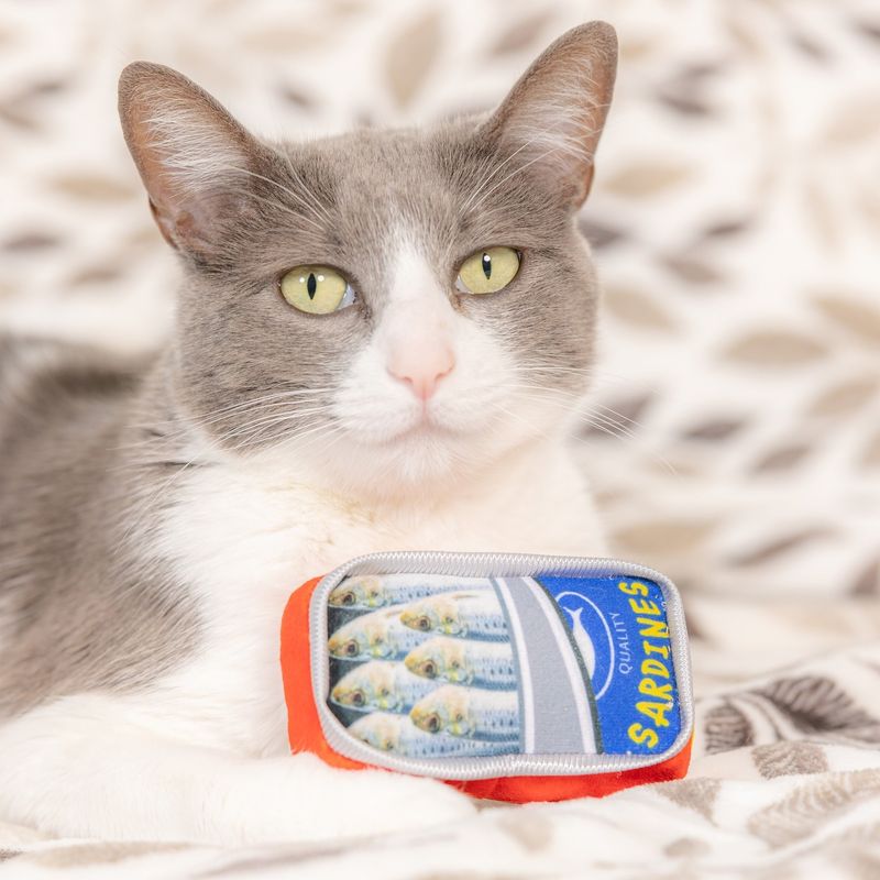 Huxley &amp; Kent Sardine Tin For Cats