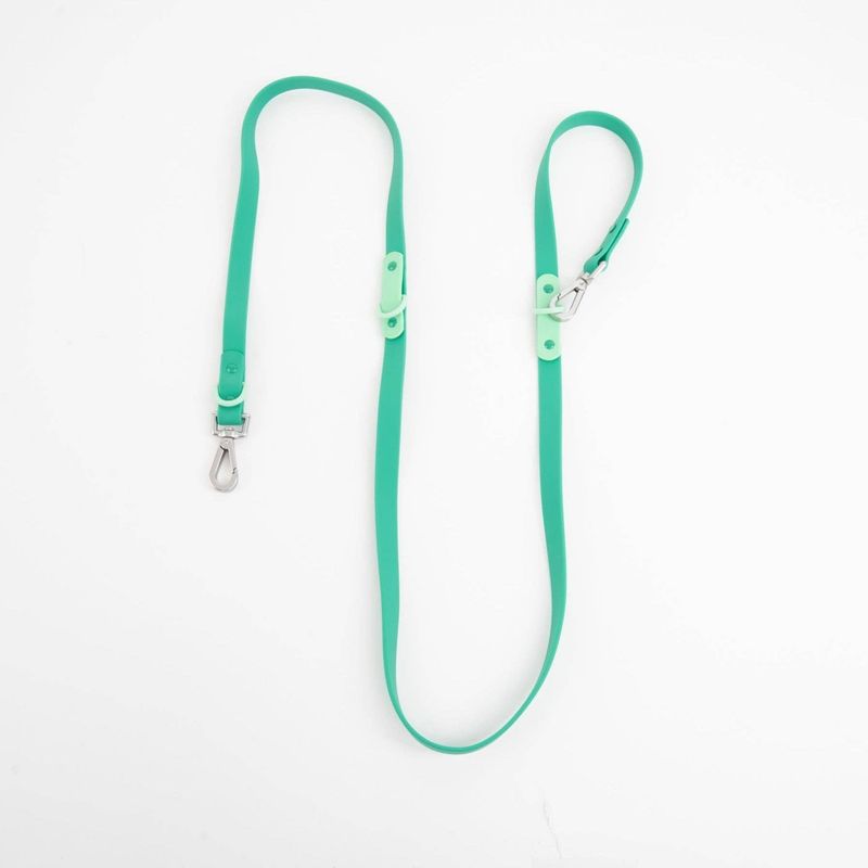 Fritz Leash  Two-tone Liberty Green Small