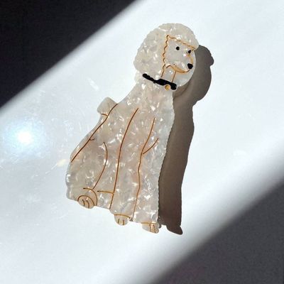 Solar Eclipse Poodle Dog White Hair Claw