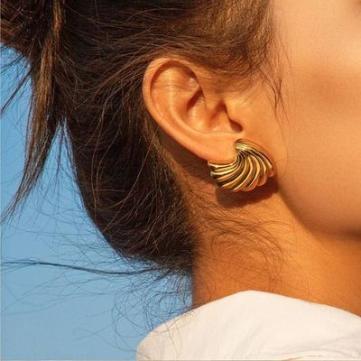 Curved Sea Shell Earrings