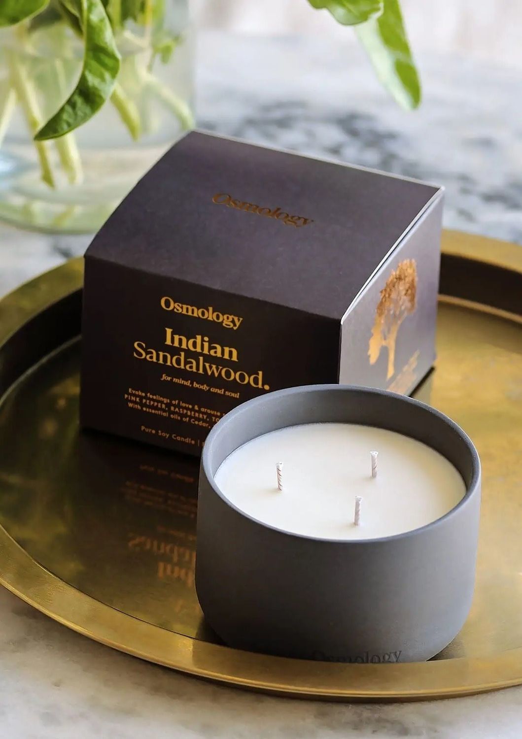 16 oz Candle Indian Sandalwood