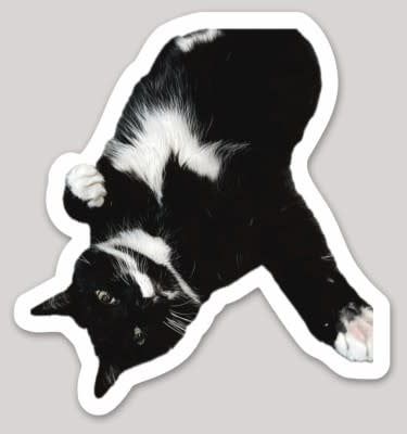 Chris&#39; Cat Mittens Sticker