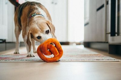 International Classic Pretzel