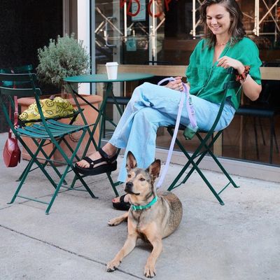 Fritz Collar Two-Tone Green 