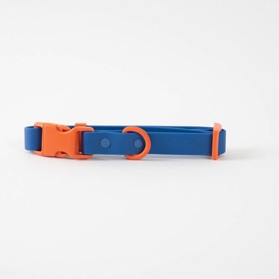 Fritz Collar Two-Tone Blue/Orange