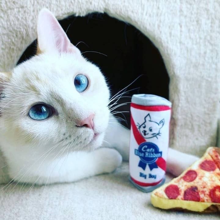 Huxley &amp; Kent Pizza Cat Toy