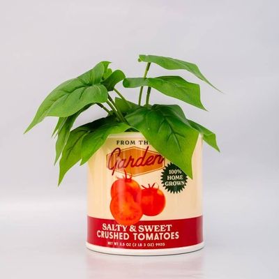 Ban.do Ceramic Vase Tomato Can