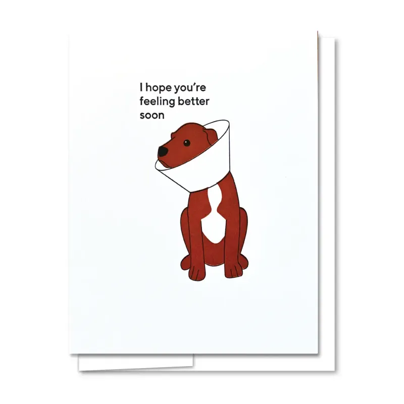 Puppy Get Well