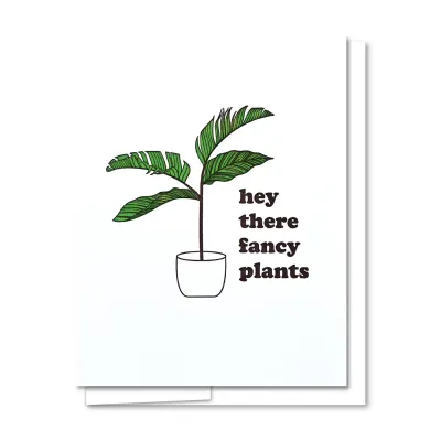 Fancy Plant