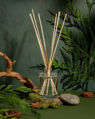 Reed Diffuser Catskills