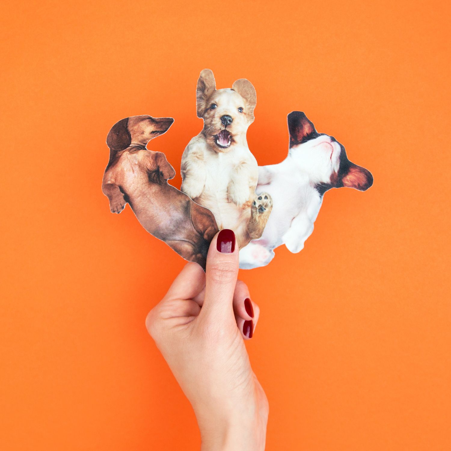 Suck UK Dog Nail Files