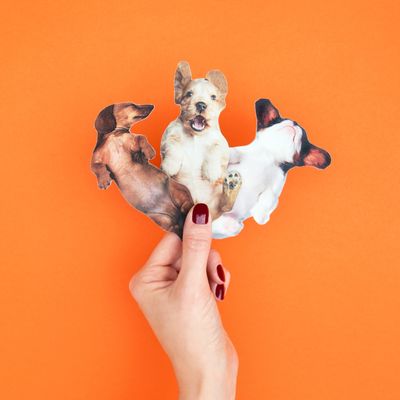 Suck UK Dog Nail Files