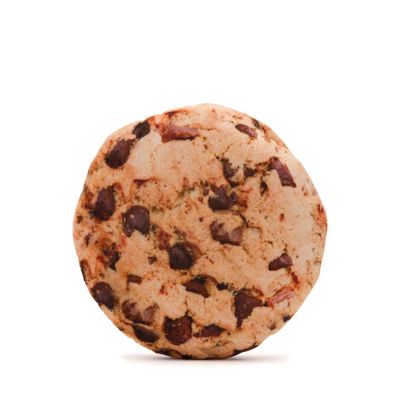 Fabdog Pups Ahoy Cookie Dog Toy