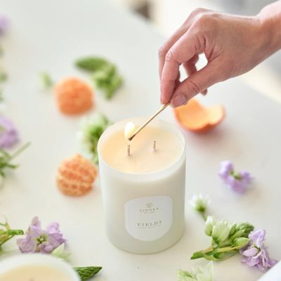 Spring Candle Fields