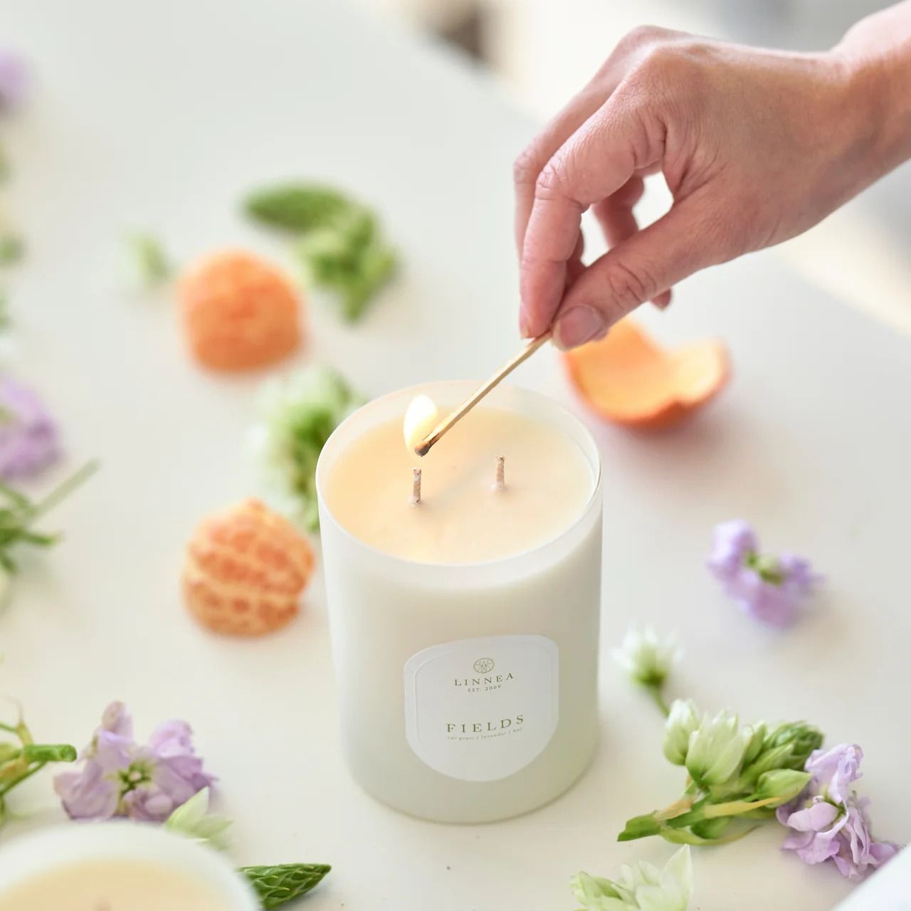 Spring Candle Fields