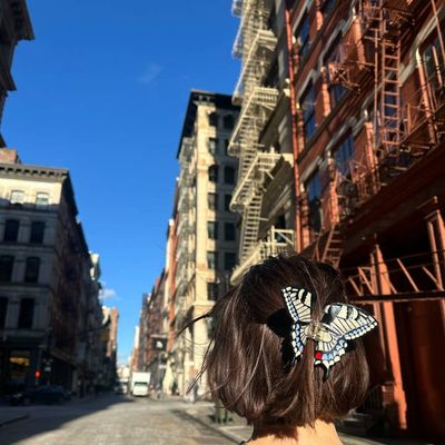 Solar Eclipse Swallowtail Butterfly White Hair Claw