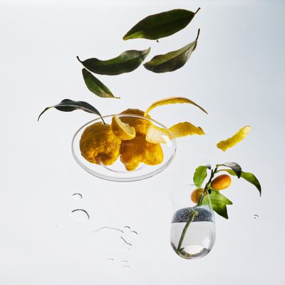 4oz Tin Candle - Yuzu