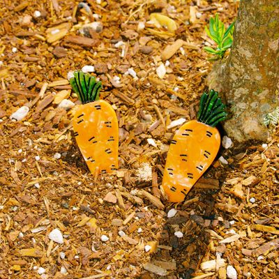 Jenny Lemons Carrot Alligator Hair Clip Set