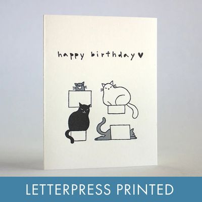 Cat Boxes Birthday