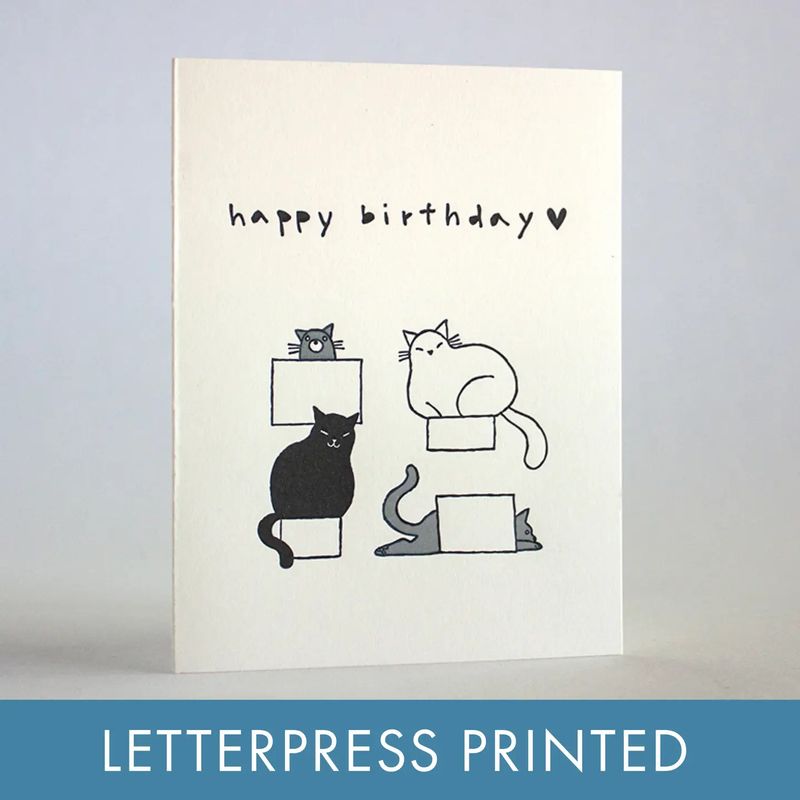 Cat Boxes Birthday