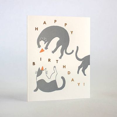 Happy Birthday Cats