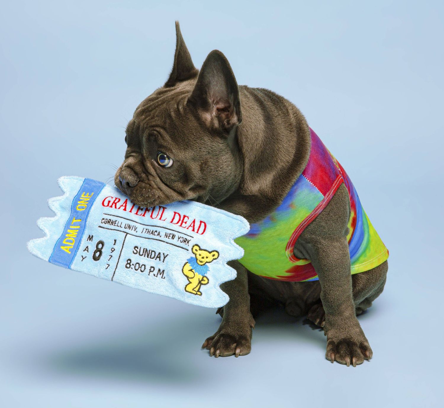 Fabdog Grateful Dead Cornell &#39;77 Ticket Dog Toy