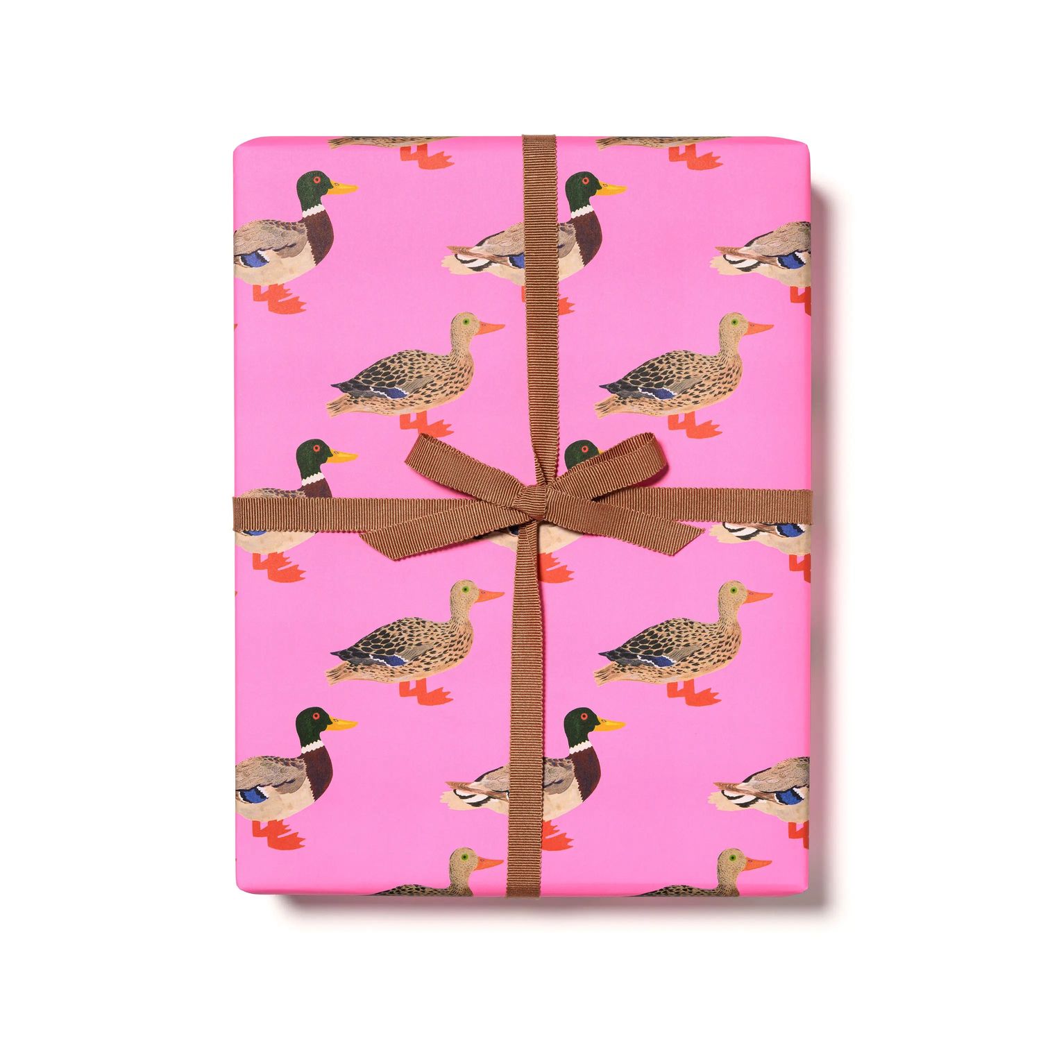 Wrap Roll - Quacky Birthday Birthday