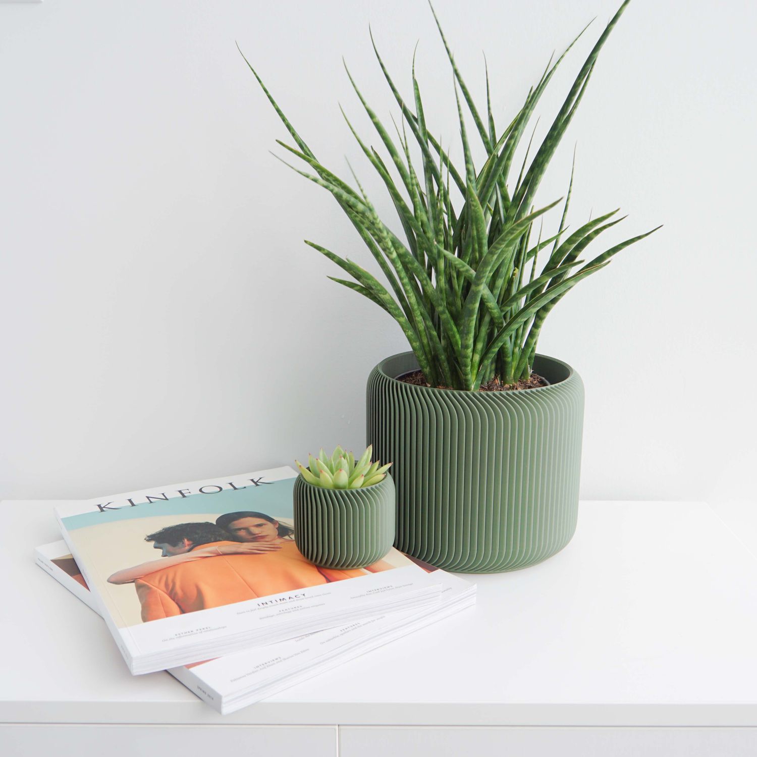 Conifer Pine Planter Olive Green, Size: 2&quot;