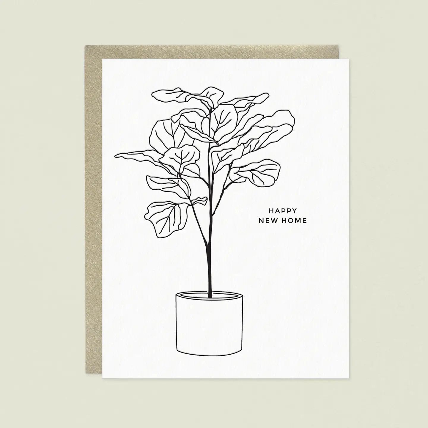 Linework Fiddle Leaf Fig Tree New Home