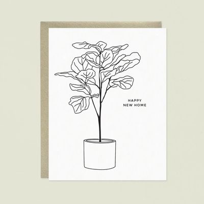 Linework Fiddle Leaf Fig Tree New Home