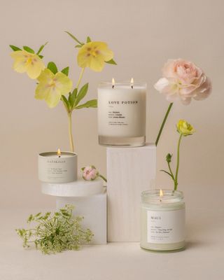 Shop By Scent