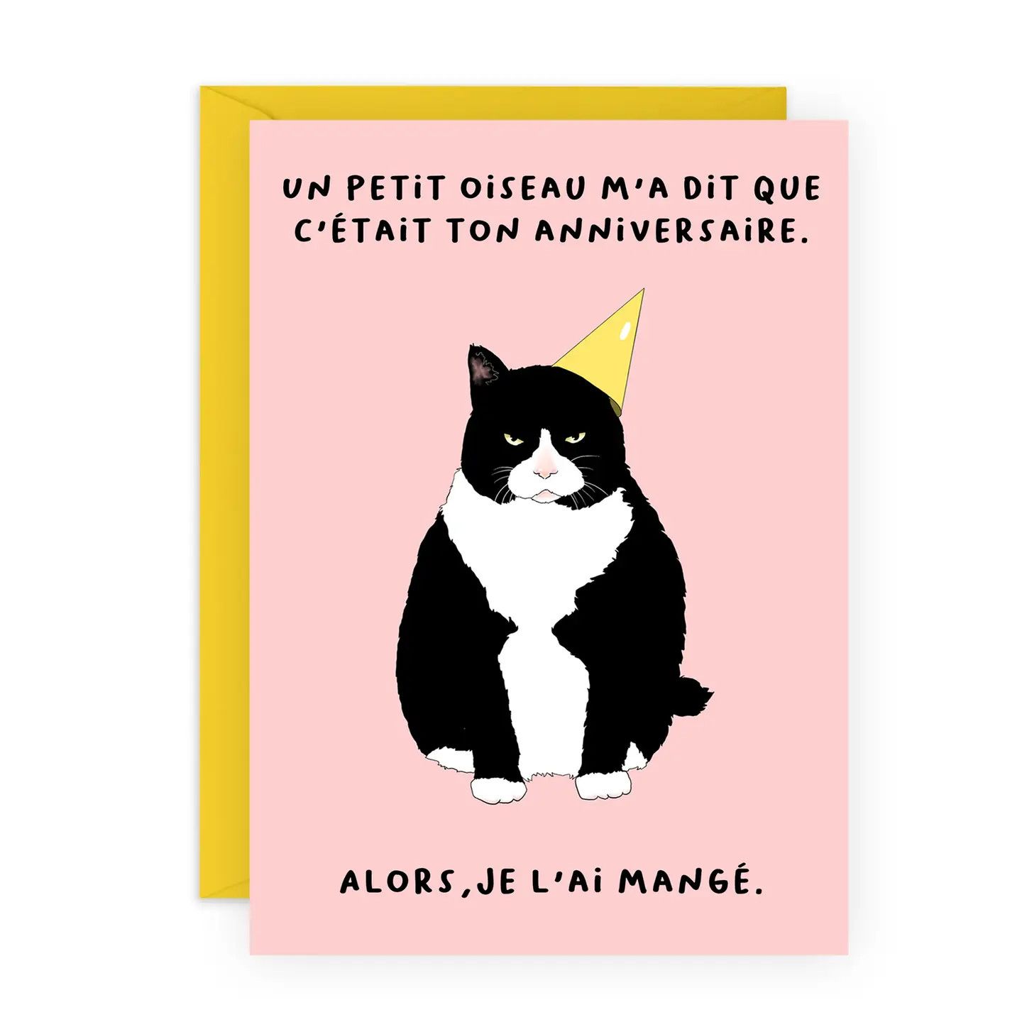 Un Petit Oiseau Funny Birthday Card