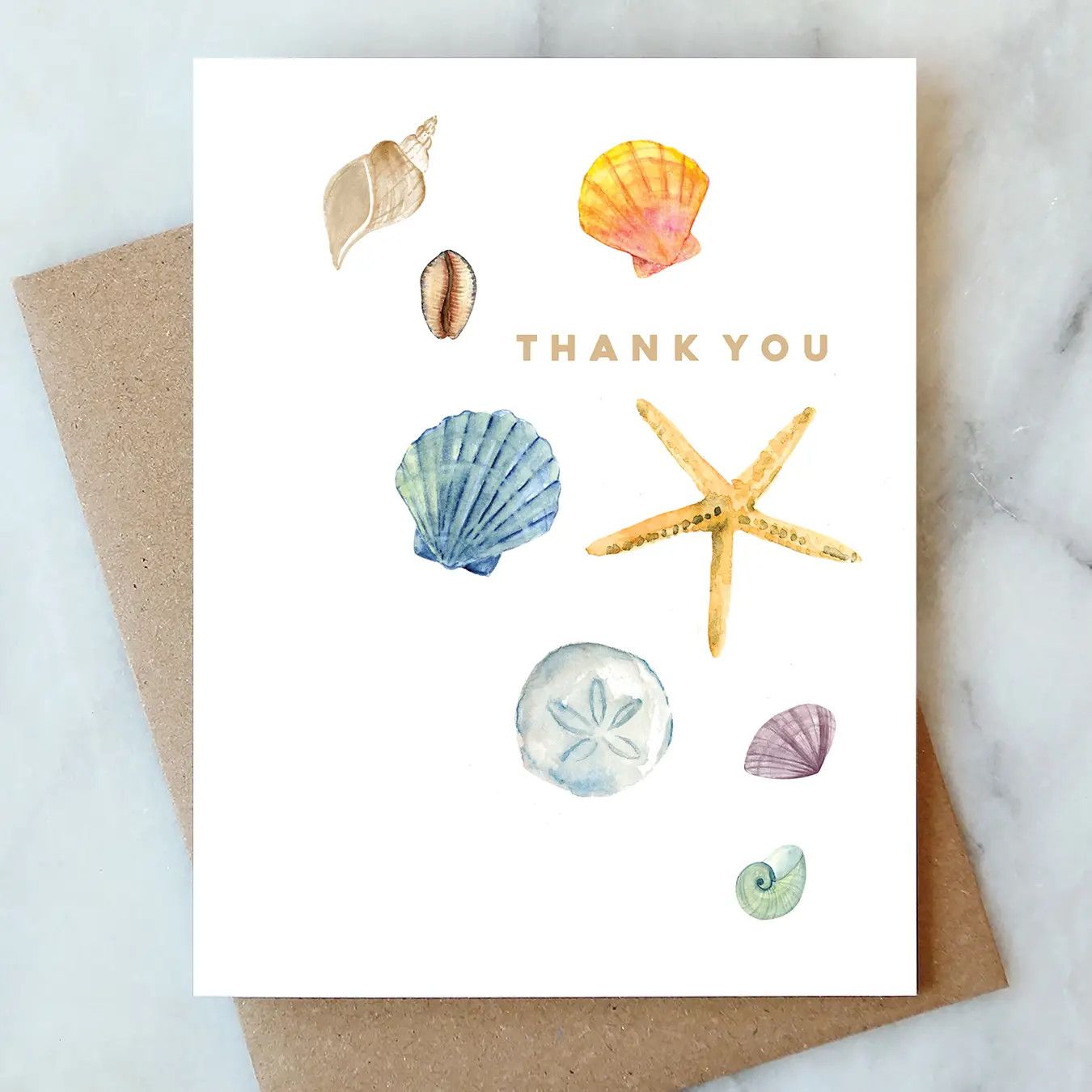 Shells Thank You