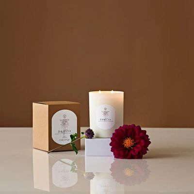 Fall Candle Dahlia