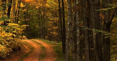 Catskills