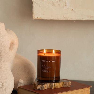 Fall 2-Wick Candle Apple Cider (Limited Edition)