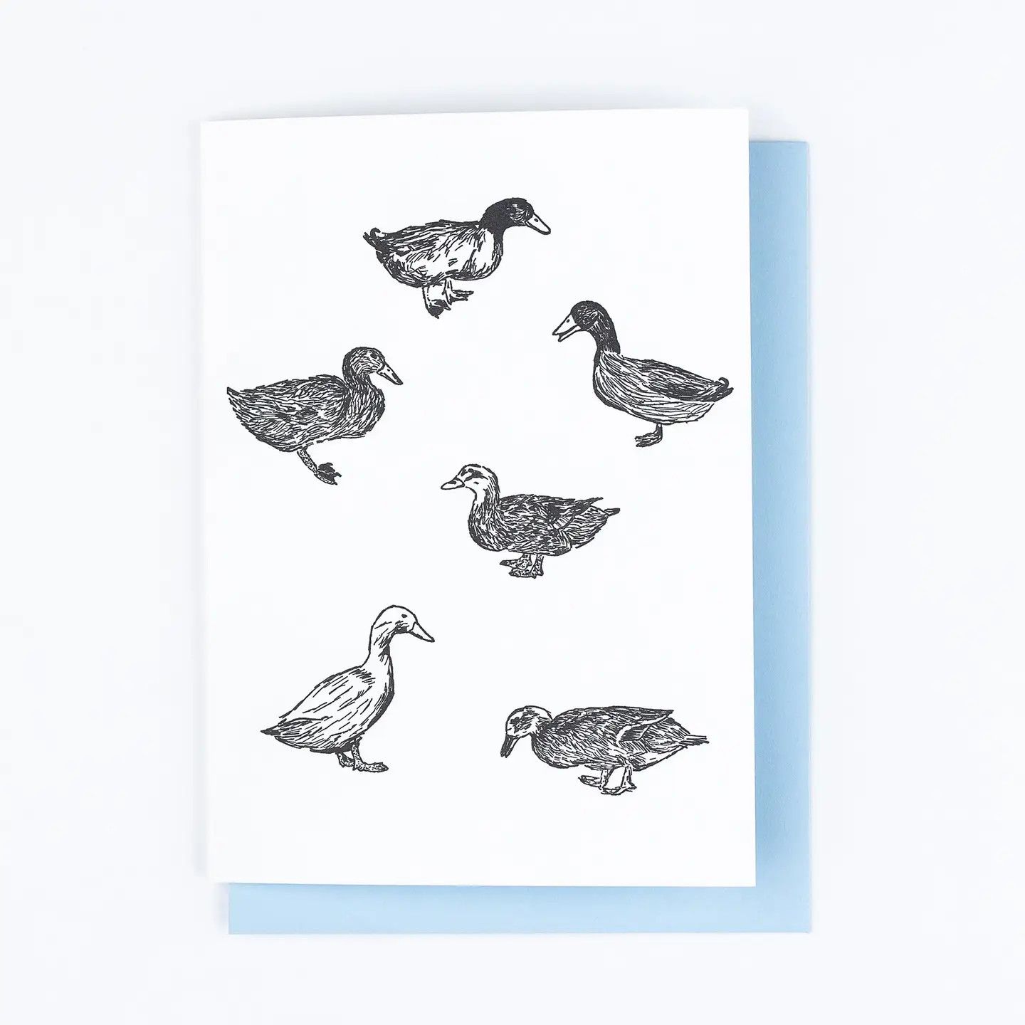 Nature Ducks