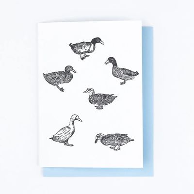 Nature Ducks