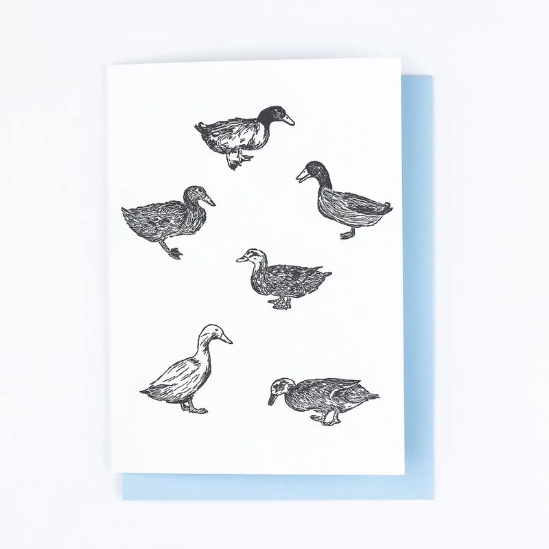 Nature Ducks