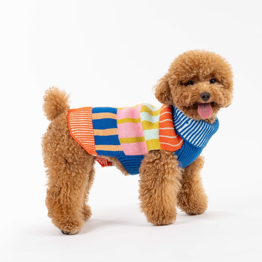 Patchwork Stripe Dog Sweater Rainbow