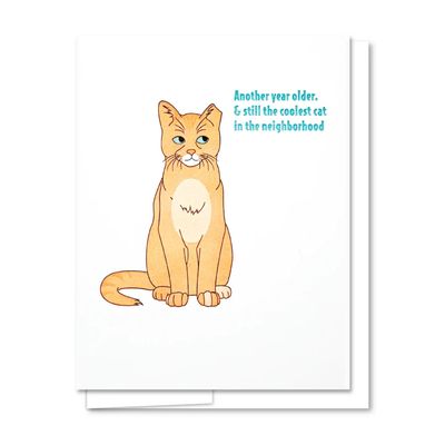 Cool Cat Birthday