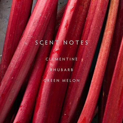 Botanik Candle Rhubarb