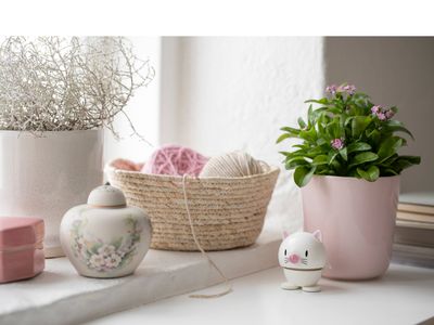 Hoptimist Cat White S