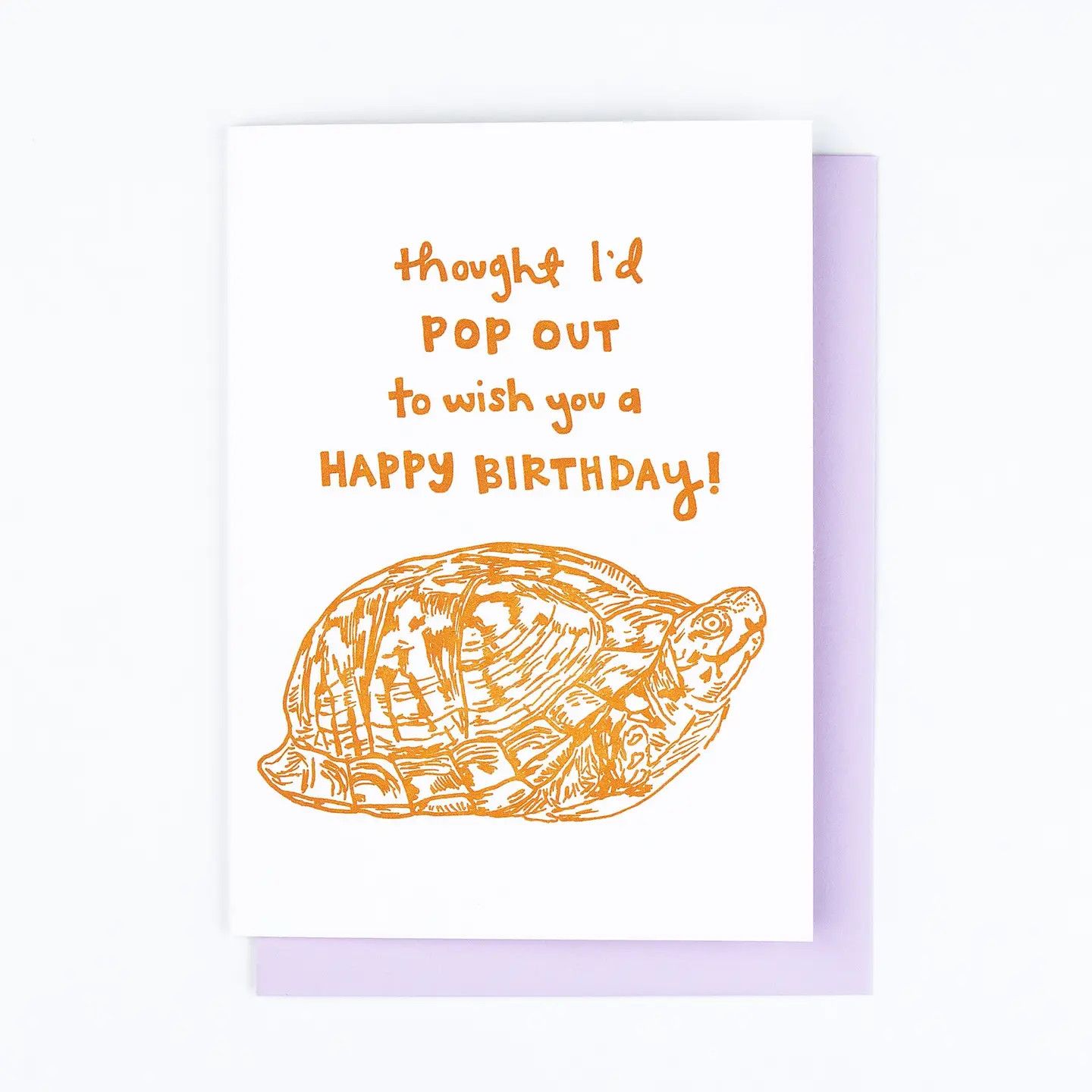 Box Turtle Birthday